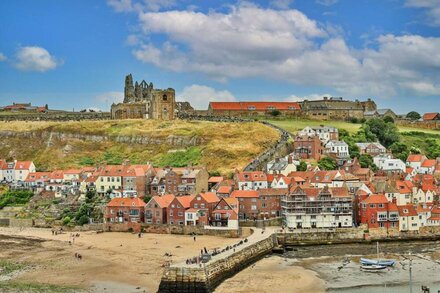 Oystercatcher - Central Whitby