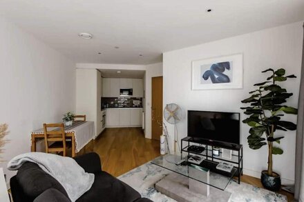 Stylish One Bedroom Flat in East London