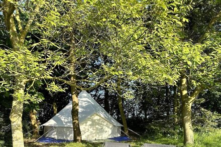 Spacious bell Tent at Herigerbi Park, Lincolnshire