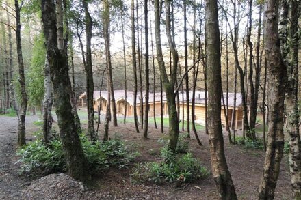 Private woodland lodge near Alton Towers