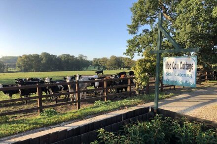 Family and Dog Friendly 3 bedroom holiday Cottage near Oakham & Rutland Water