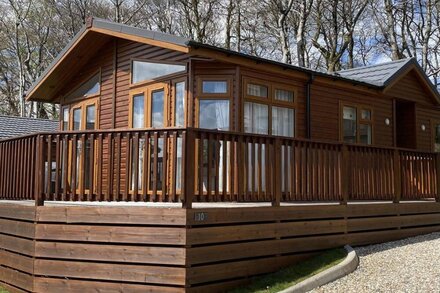 LODGE 10, CEDAR LODGE PARK, pet friendly, with a garden in Tavistock