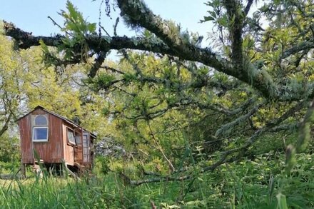 Stargazer Shepherds Hut. A warm and cosy getaway