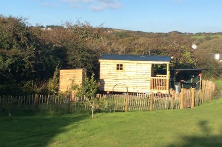 Eco Friendly Woodman's Hut