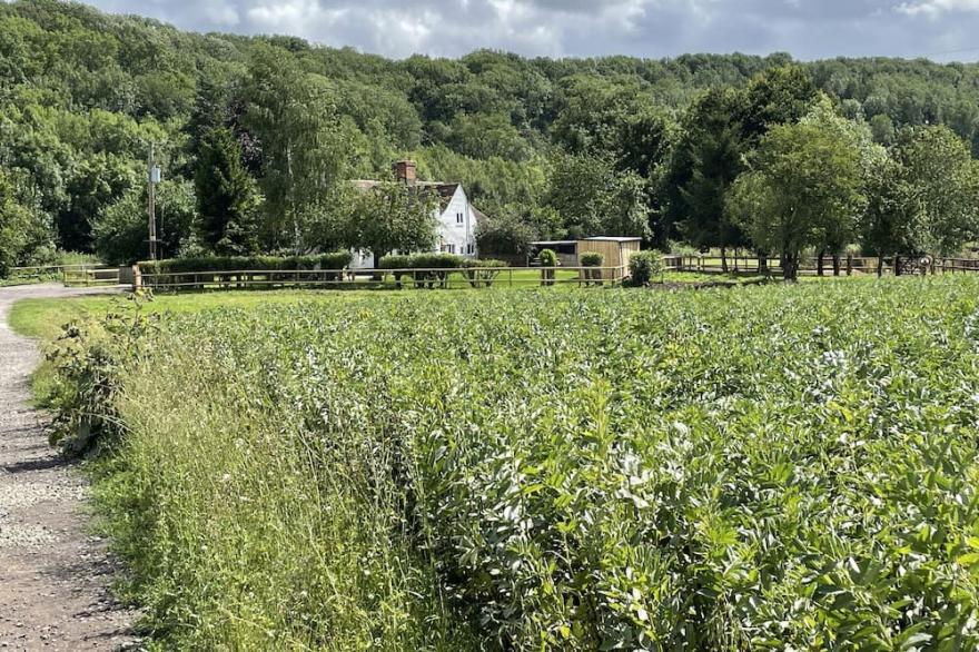 Newly refurbished semi-detached cottage set on the banks of the River Severn