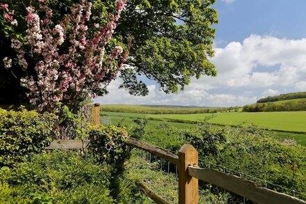 Stunning Cottage in South Downs National Park