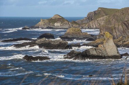 A friendly cottage near the SW coast path in the Hartland Peninsula AONB