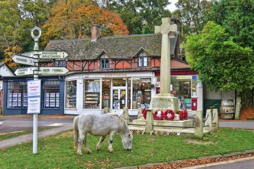 Idyllic cottage in the heart of the New Forest National Park