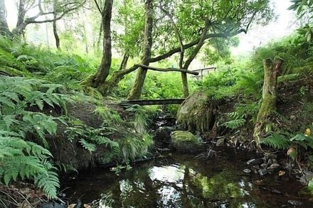 A taste of Scandinavia in the Scottish West Highlands