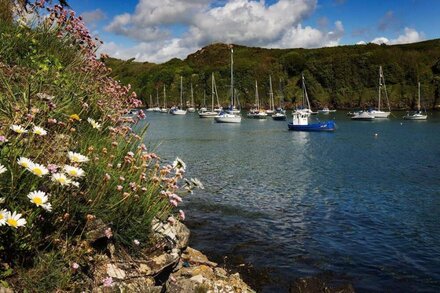 Caleb's Cottage - 4 Bedroom Cottage - Solva