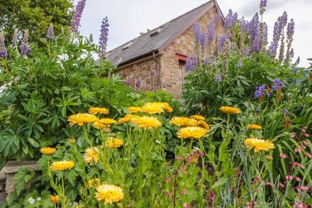 RODLEY MANOR COTTAGE, BLOEMUNS, character holiday cottage in Lydney