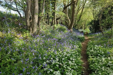 Ideal for couples or families, a country retreat close to the coast  & Lewes