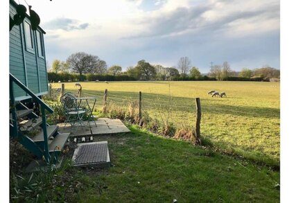 Heartsease - luxury Shepherd's Hut, amazing views.