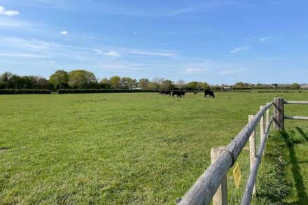 Delightful 1 bedroom shepherd's hut on a working farm by the South Coast