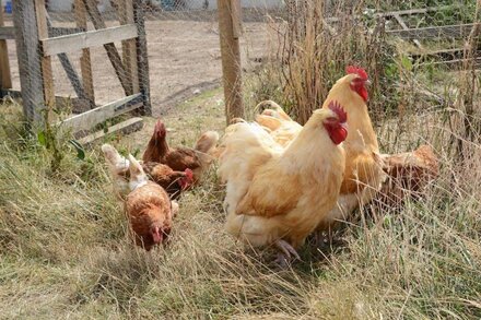 The Parlour, luxury Barn ideally situated to explore rural Nottinghamshire