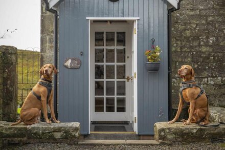 Lux cottage 3 beds 3 baths, dog friendly, WIFI, mountain biking, activity centre