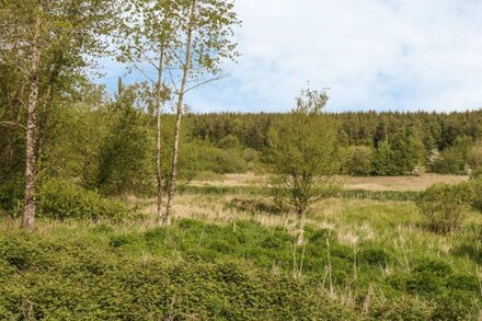 BWLCH Y GWYNT BACH, with a garden in Llangefni