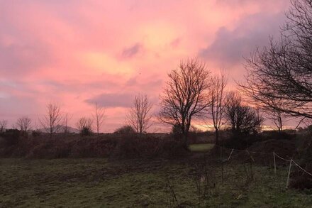 Luxury Shepherds Hut in the Heart of St Davids.