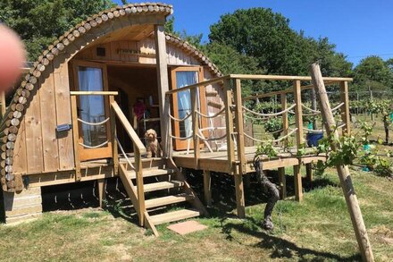 Luxury Cosy Vineyard Eco Cabin: 'The Grape Escape' near Halesworth & Southwold