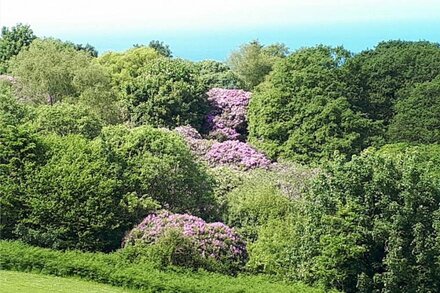 STUNNING SEA VIEWS AND COMFORTABLE ACCOMONDATION IN HEAVENLY NORTH DEVON.