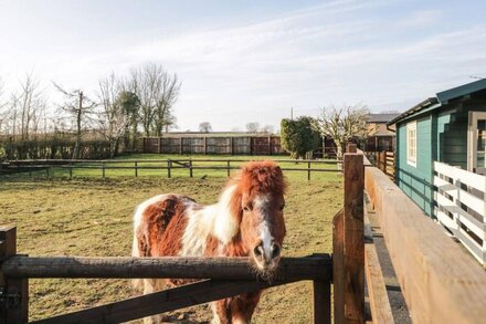 THE LOG CABIN, pet friendly in Royal Wootton Bassett