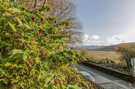 BRYN MELYN ARTIST'S COTTAGE, romantic, with a garden in Llanelltyd