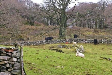 Y BWTHYN, pet friendly, character holiday cottage in Llanbedr