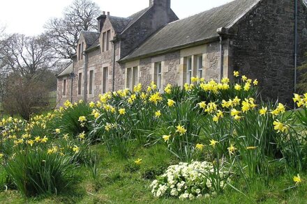 Laundry Cottage, Carmichael Country Cottages, near Biggar. Pets welcome.