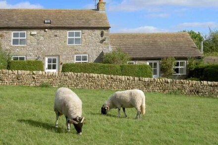 THE STONE BYRE, family friendly, with open fire in Barnard Castle