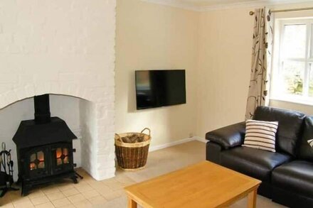 FORESTRY COTTAGE, family friendly, with open fire in Rhos-Y-Gwaliau