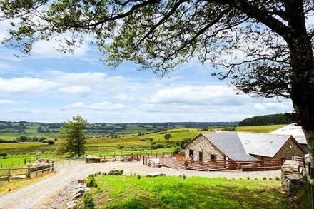 Y BWTHYN, pet friendly, country holiday cottage in Pontrhydfendigaid