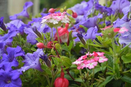 WINDBURY COTTAGE, pet friendly, character holiday cottage in Hartland