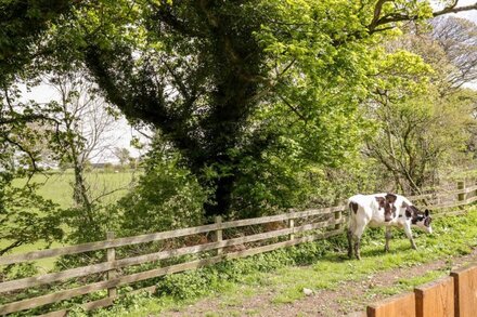 THE OLD BOTHY, family friendly, with open fire in Bolton Low Houses