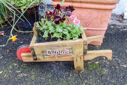 CUPID'S COTTAGE, pet friendly, with a garden in Bridlington