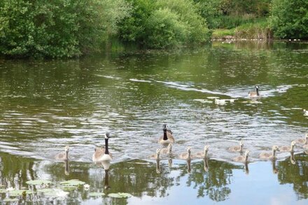 LAKESIDE LODGE, pet friendly, with a garden in East Harling