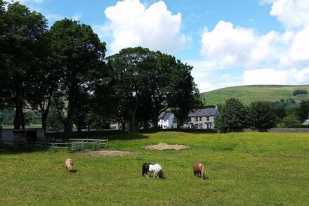 BUTTERCUP COTTAGE, pet friendly in Castleton, Peak District