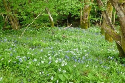 HENDRE ALED COTTAGE 2, pet friendly, with a garden in Llansannan