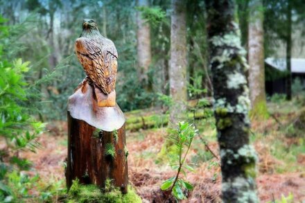 LIEVER is a charming log cabin in a beautiful forest location close to Loch Awe