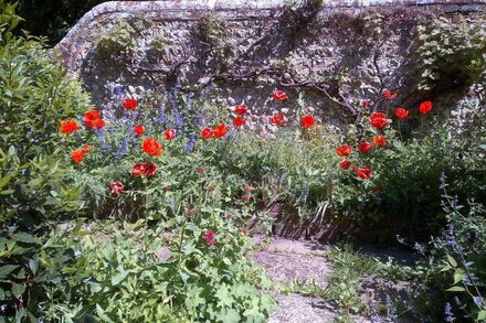 Idyllic large cottage with stunning views, in Streat near Ditchling