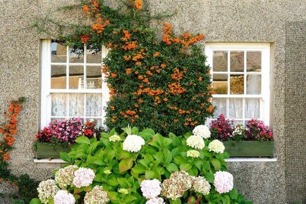 Welsh historic Cottage near Sea (BH)