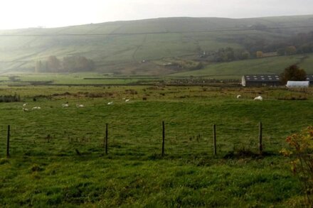 Halstead Green 5 double/twin Farmhouse in Colden, near Hebden Bridge