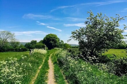 Pass the Keys | Ian's Cottage, Wedmore - country cottage for two