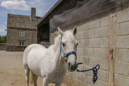 SWALLOWS, 1 THE OLD STABLES, pet friendly, with a garden in Witney