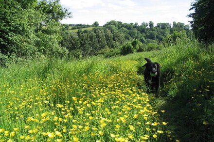 Dog friendly cottage set in private grounds and located in an Area of Outstanding Natural Beauty