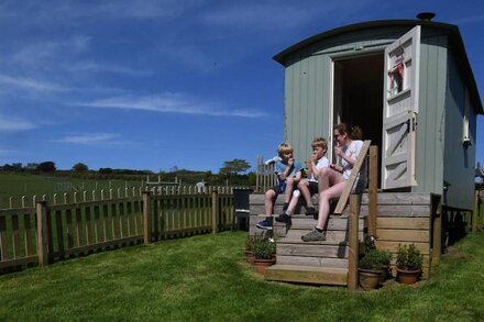 Secluded, peaceful large Shepherd hut on 14 acre smallholding.