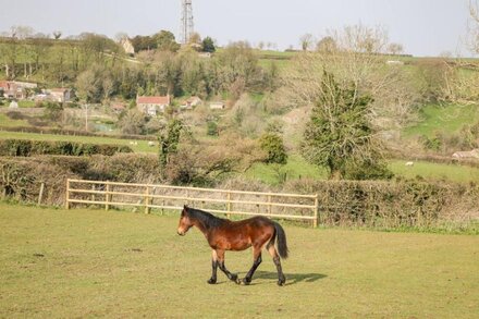 ANNEX CHETNOLE, family friendly, character holiday cottage in Dundry