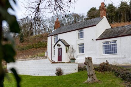 Cosy Welsh Cottage - Views & Log burner