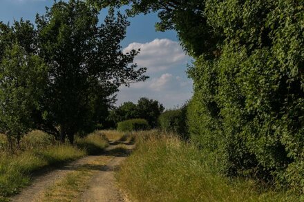 Rural retreat, Noth Essex/Herts borders, near Bishops Stortford