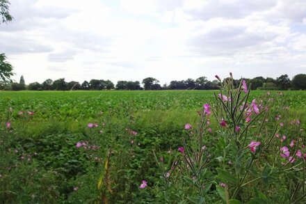 Explore Suffolk & Norfolk from Pheasant Cottage