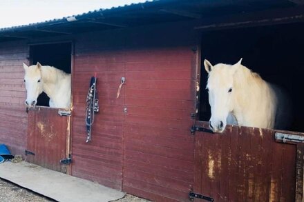 Moss Farm Cottage - A haven for horse & countryside lovers